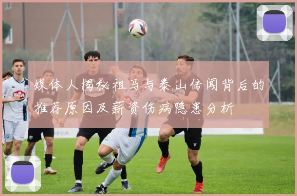 媒体人揭秘祖马与泰山传闻背后的推荐原因及薪资伤病隐患分析
